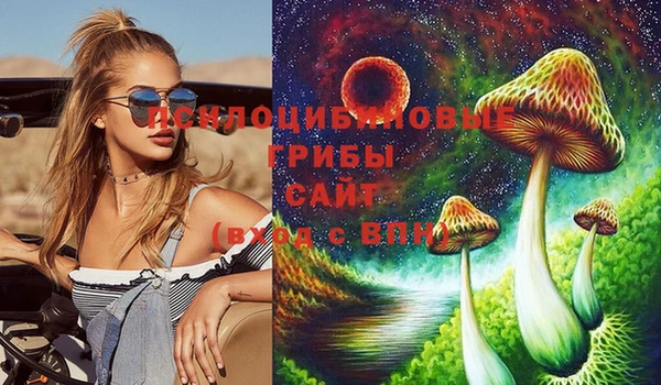 крисы Белоозёрский