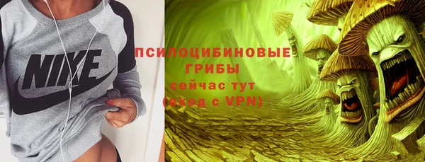 метамфетамин Белокуриха