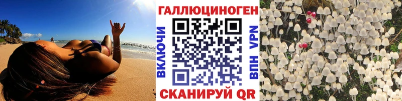 Псилоцибиновые грибы мицелий  Купить  Учалы 